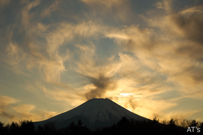 山中のハリモミ純林付近から／山麓から見た富士山