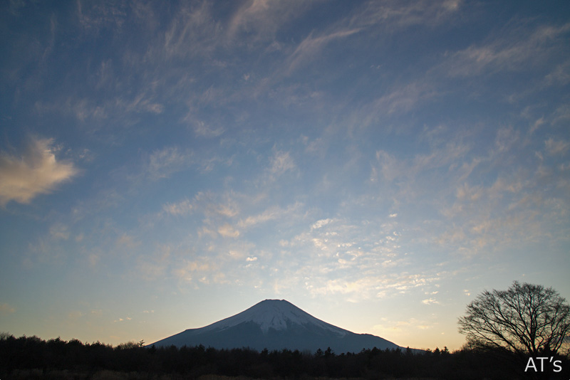 山中のハリモミ純林付近から／山麓から見た富士山