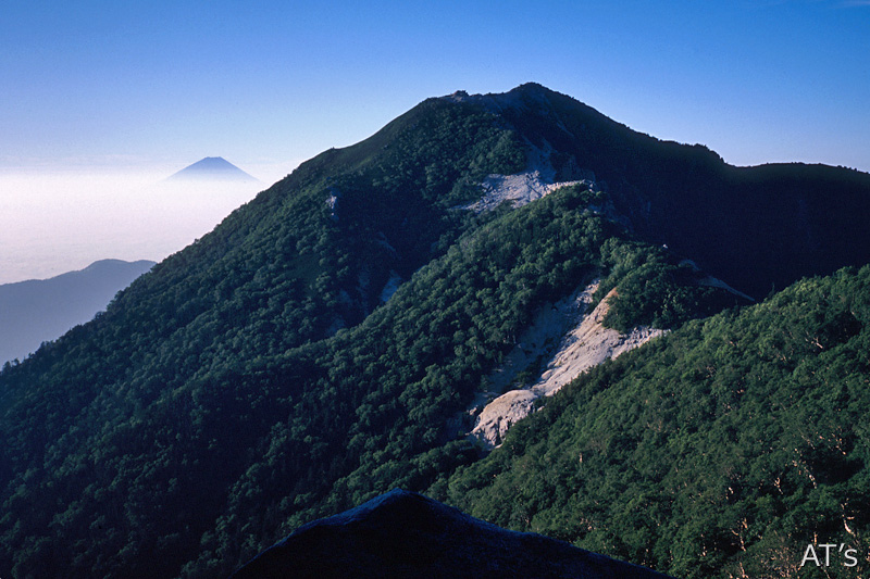 地蔵ヶ岳付近から見た観音ヶ岳と富士山／鳳凰三山