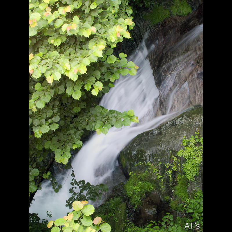 魚止の滝／川乗谷／奥多摩の滝、渓谷