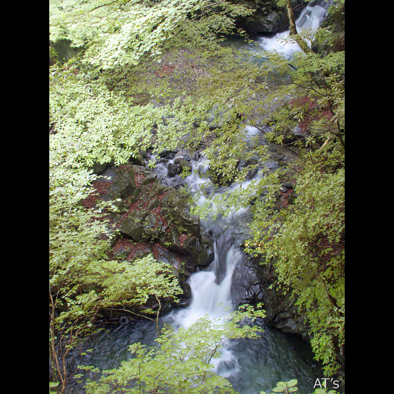 釜滝と二段の滝／川乗谷／奥多摩の滝、渓谷