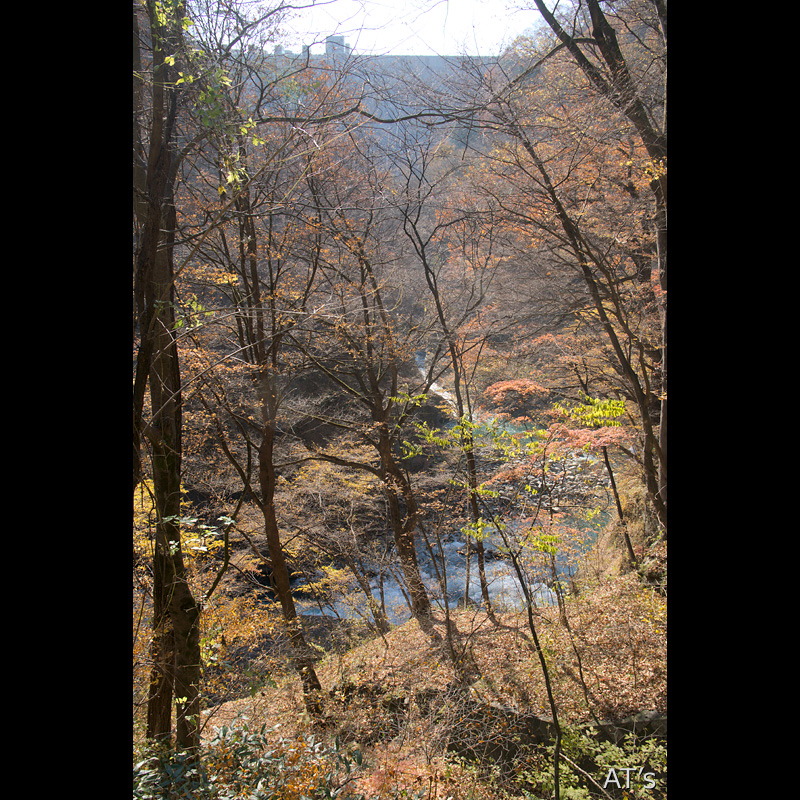 吾妻渓谷と背後に聳える八ッ場ダム／吾妻渓谷と吾妻川流域の滝