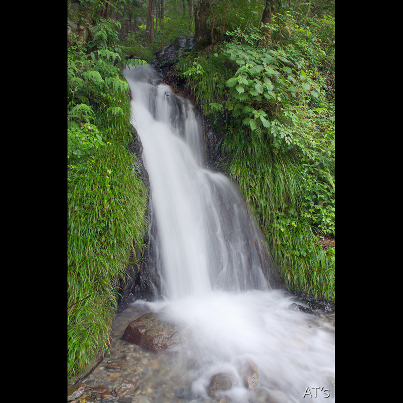 りゅうほうの滝／南秋川流域の滝／奥多摩の滝、渓谷