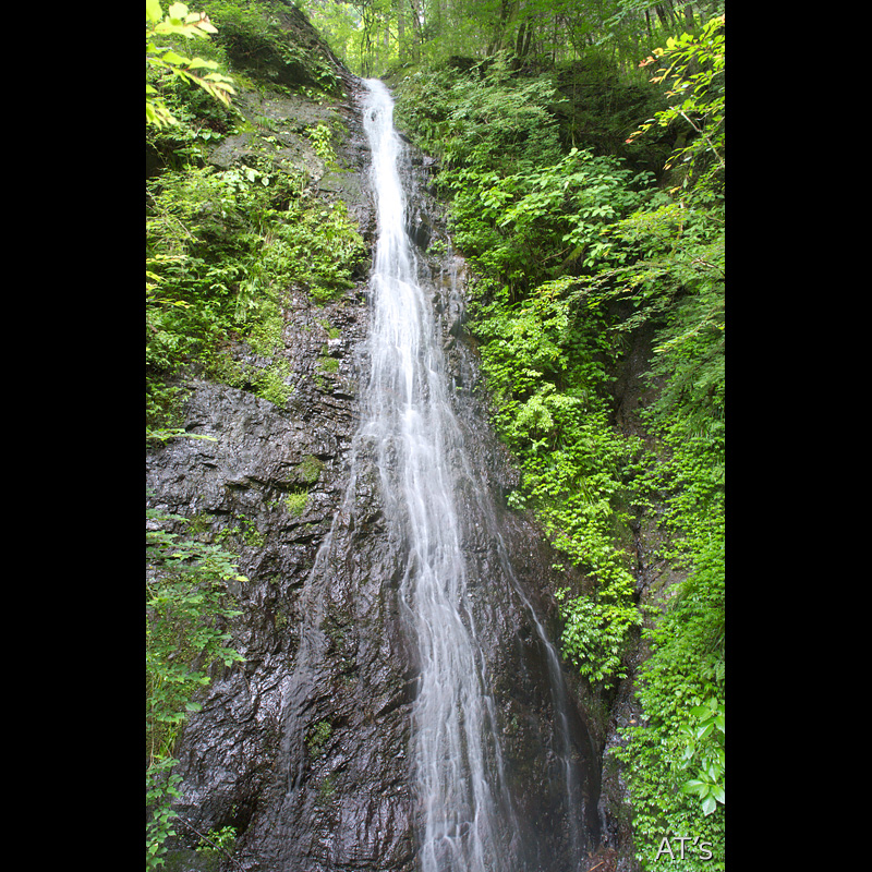 姫松の滝／海沢流域／奥多摩の滝、渓谷