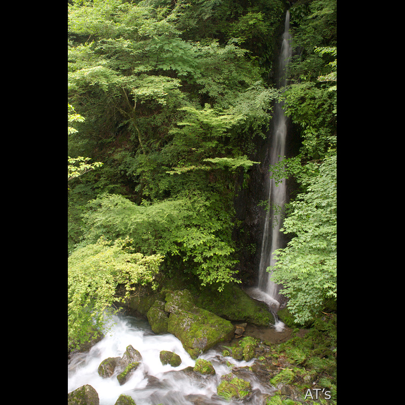 出石窪の滝／海沢流域／奥多摩の滝、渓谷