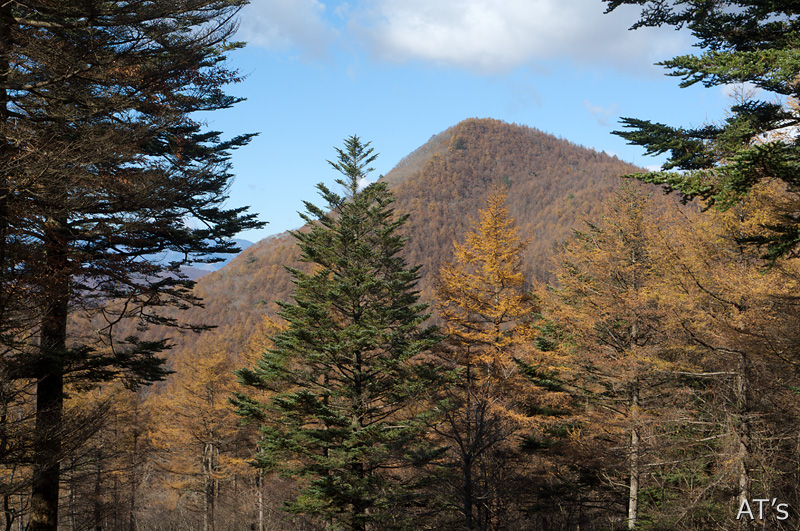 滝子山北側登山道から見た大谷ヶ丸／大菩薩嶺と周辺の山