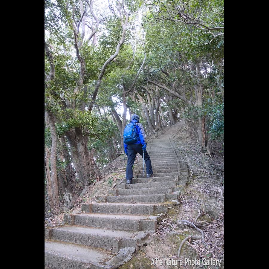 観月台へ続く約400段の階段／千葉県富津市、鋸南町