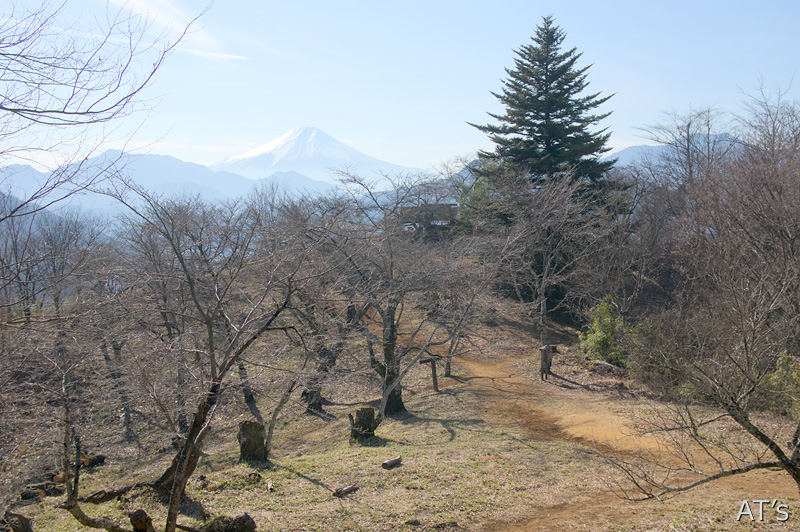 岩殿山頂付近と富士山