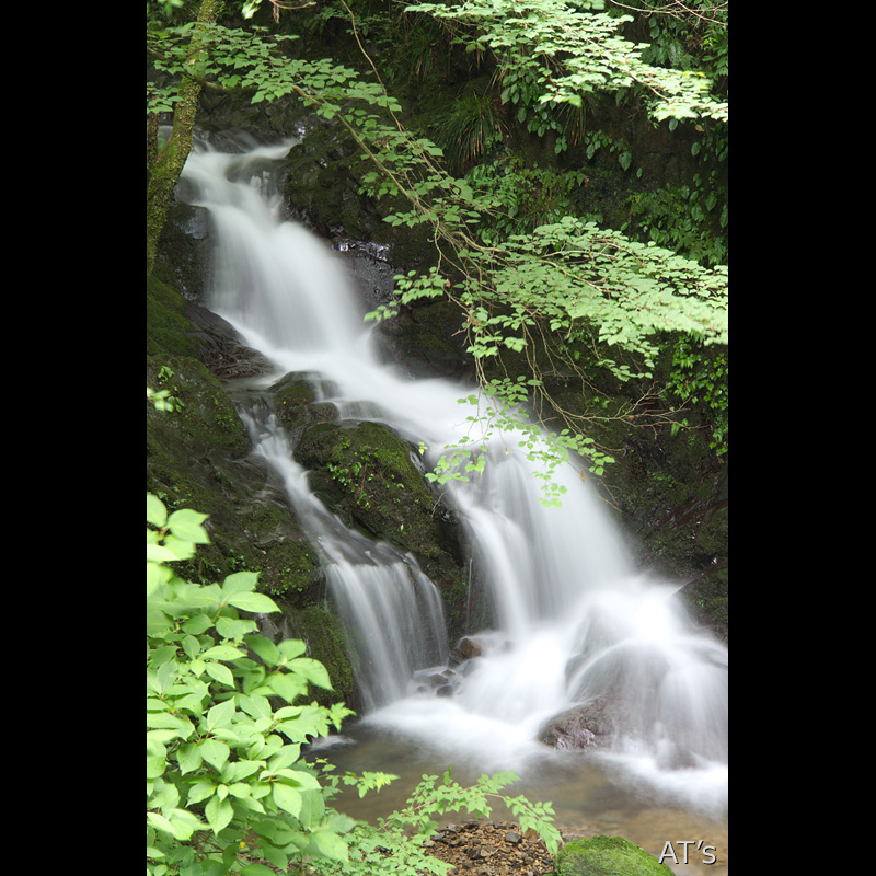 雨乞いの滝下流の滝／平井川流域の滝／奥多摩の滝、渓谷