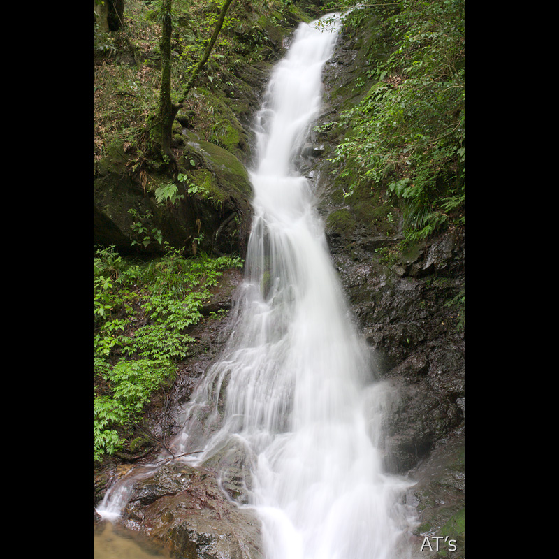 白岩の滝／平井川流域の滝／奥多摩の滝、渓谷