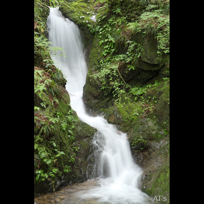 白岩の滝上流の滝／平井川流域の滝／奥多摩の滝、渓谷