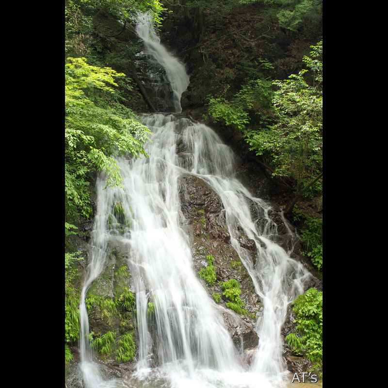 雨乞いの滝／平井川流域の滝／奥多摩の滝、渓谷