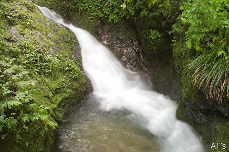 雨乞い橋下流の小滝／平井川流域の滝／奥多摩の滝、渓谷