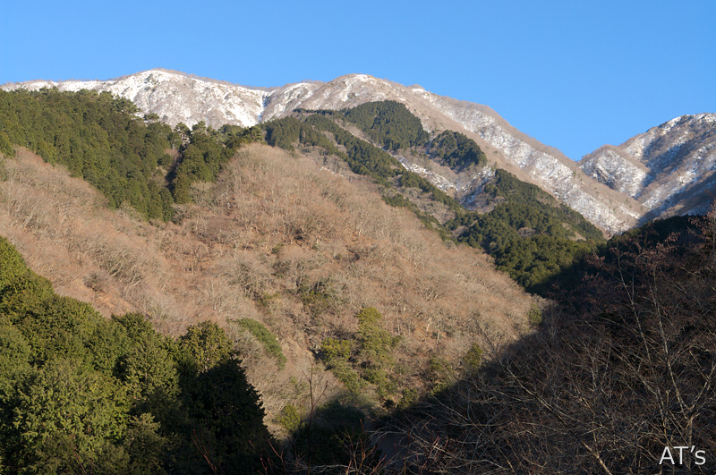 西山林道終点先広場から見た鍋割山稜／丹沢