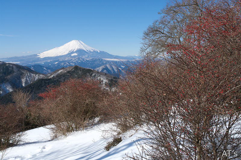 鍋割山南山稜から見た富士山／丹沢