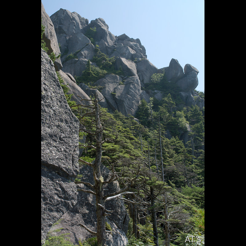 大ヤスリ岩基部から見た瑞牆山