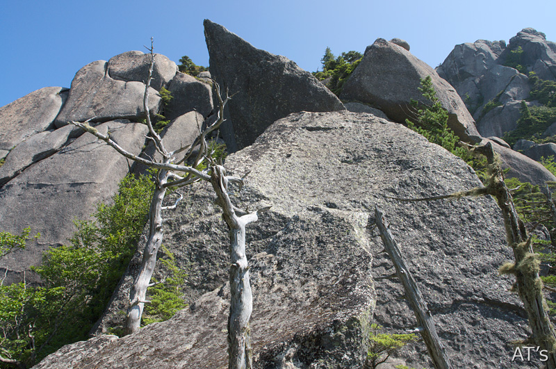 大ヤスリ岩基部から見た弘法岩の岩稜／瑞牆山