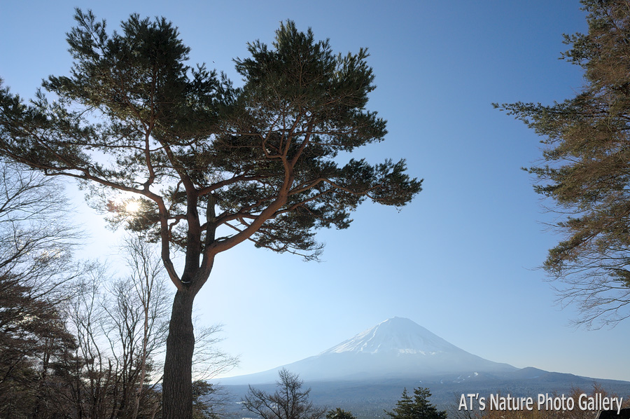 紅葉台付近から／富士五湖周辺の山から富士山展望