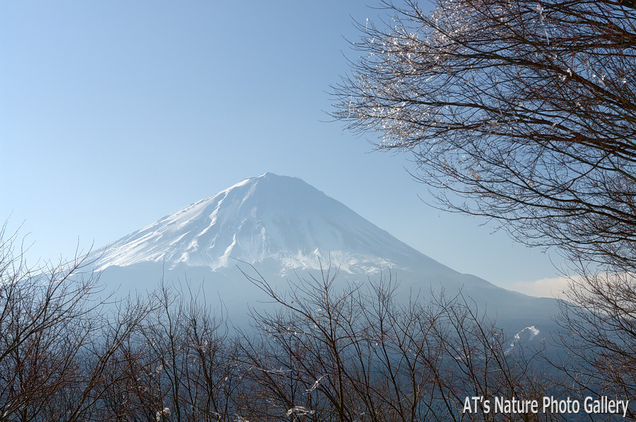 紅葉台から／富士五湖周辺の山から富士山展望