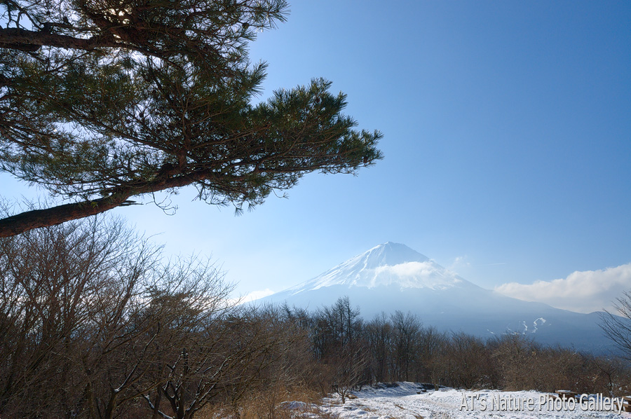 三湖台から／富士五湖周辺の山から富士山展望