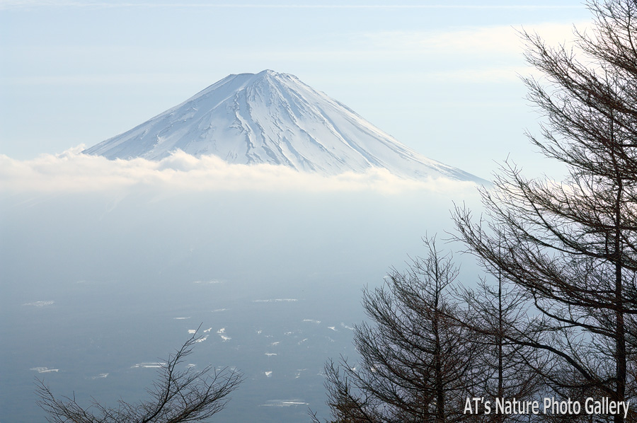 新道峠から／富士五湖周辺の山から富士山展望