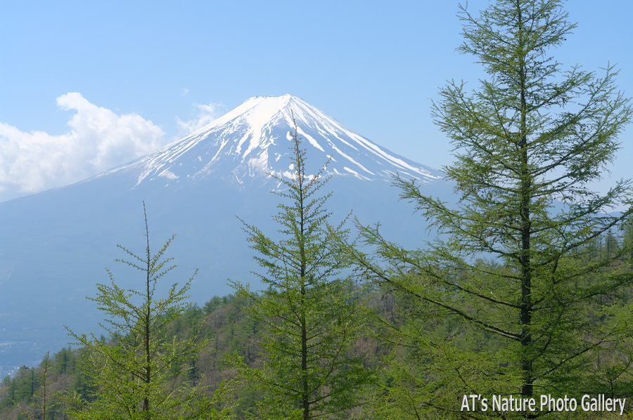 三ツ峠山、木無山から／富士五湖周辺の山から富士山展望