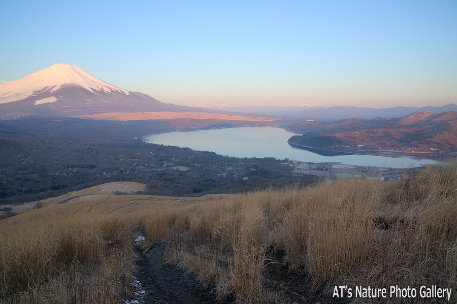 鉄砲木の頭から／富士五湖周辺の山から富士山展望