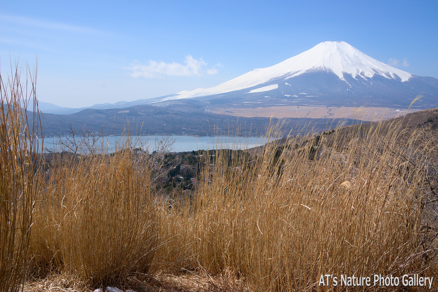平尾山から／富士五湖周辺の山から富士山展望