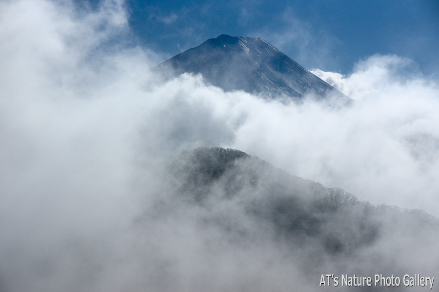 女坂峠東側ピークから／富士五湖周辺の山から富士山展望