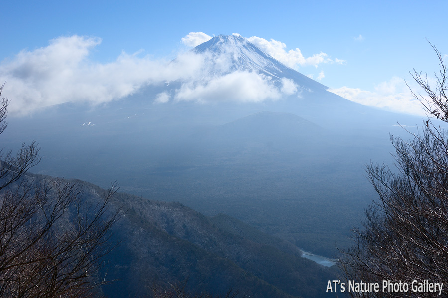 三方分山から／富士五湖周辺の山から富士山展望