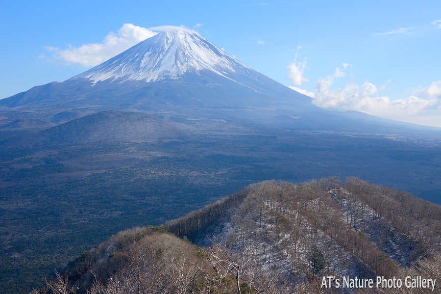 パノラマ台から望む／富士五湖周辺の山から富士山展望