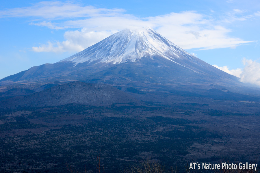 烏帽子岳から／富士五湖周辺の山から富士山展望