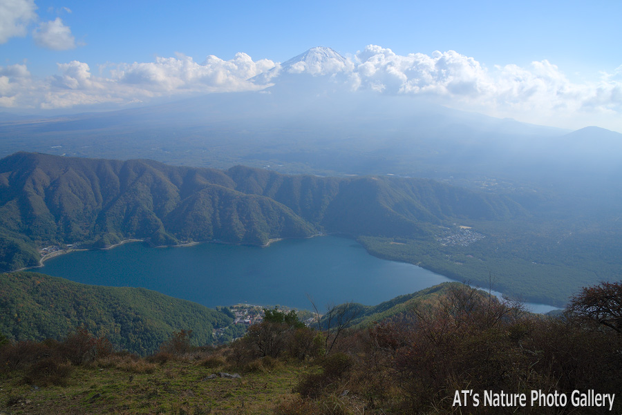 雪頭ヶ岳付近から／富士五湖周辺の山から富士山展望