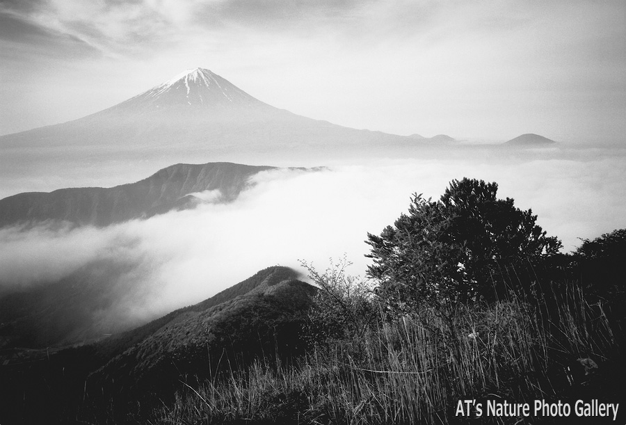 十二ヶ岳から／富士五湖周辺の山から富士山展望