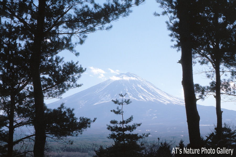 一湖台から／富士五湖周辺の山から富士山展望