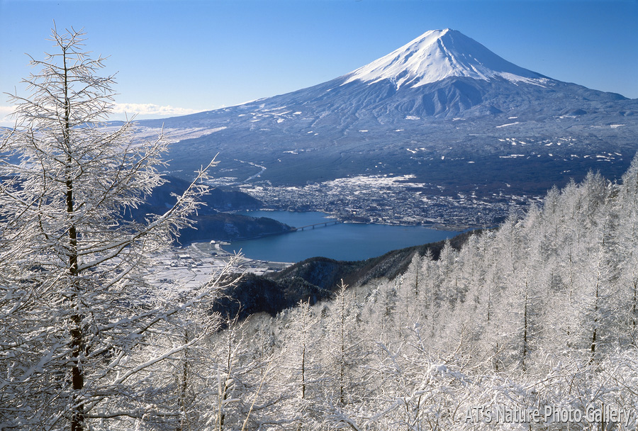 御坂峠から／富士五湖周辺の山から富士山展望