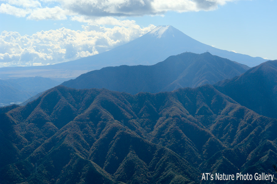 滝子山から／大月市、都留市周辺の山から富士山展望