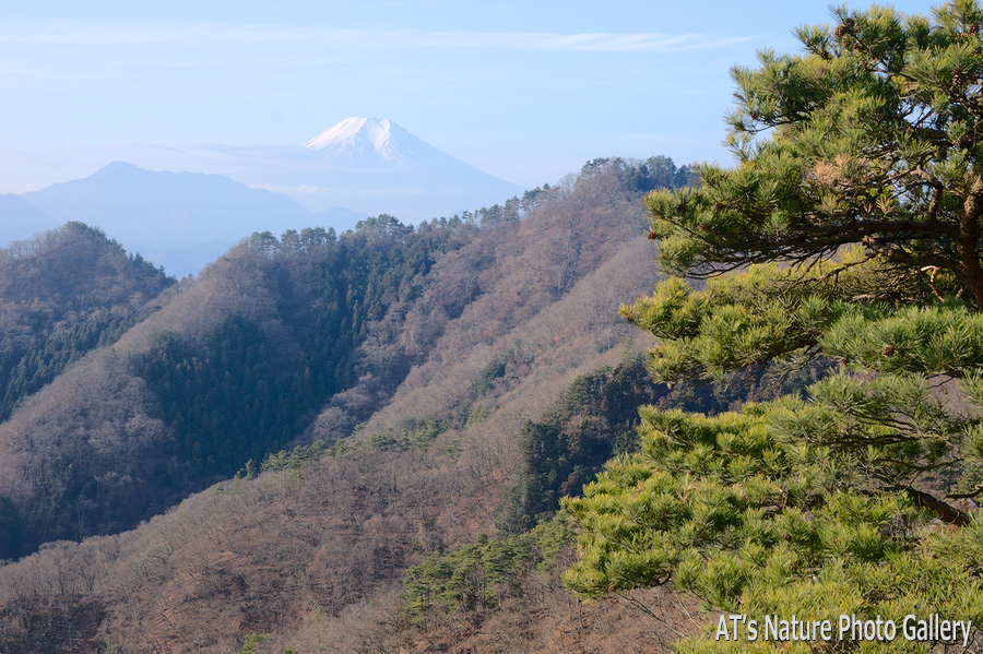 御前山から／大月市、都留市周辺の山から富士山展望