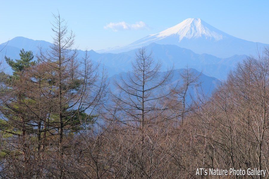 扇山から／大月市、都留市周辺の山から富士山展望