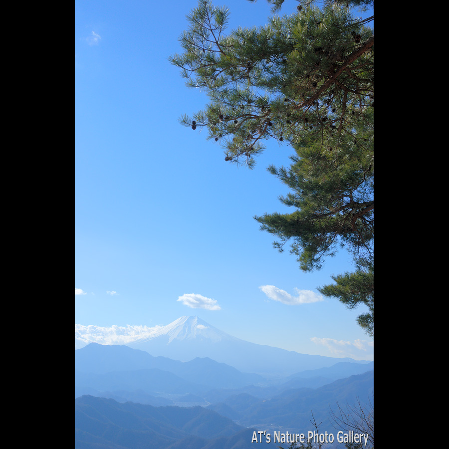 百蔵山から／大月市、都留市周辺の山から富士山展望