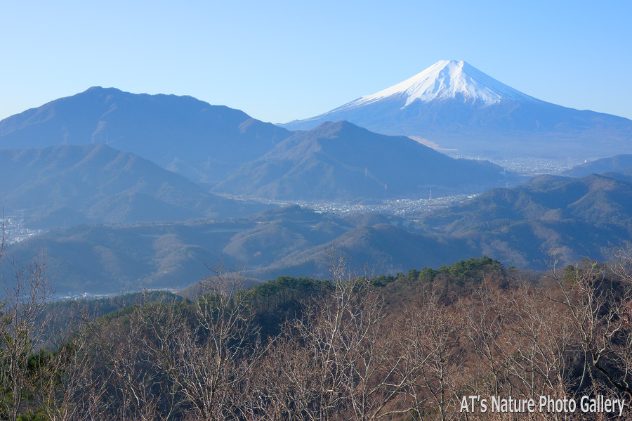 高川山から／大月市、都留市周辺の山から富士山展望