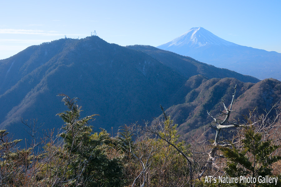 本社ヶ丸から／大月市、都留市周辺の山から富士山展望