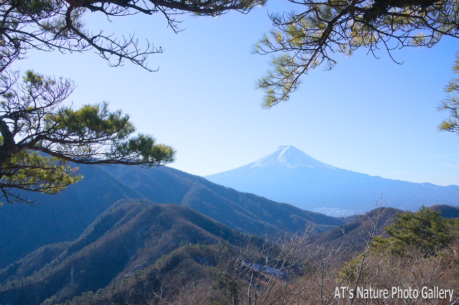 清八山から／大月市、都留市周辺の山から富士山展望