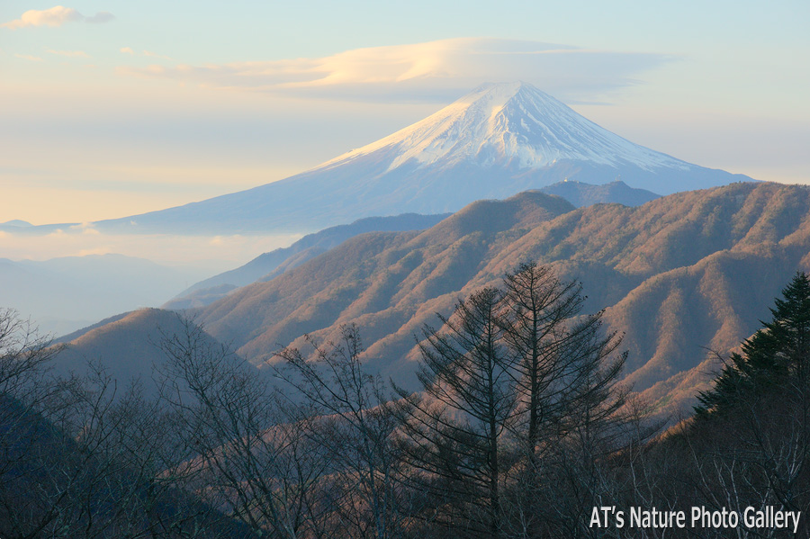 大峠から／大月市、都留市周辺の山から富士山展望