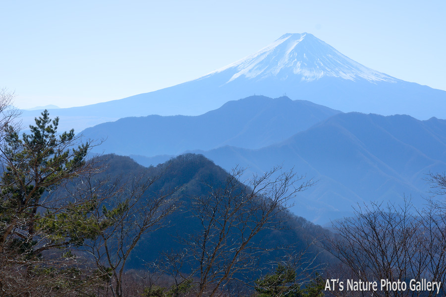 ハマイバ丸から／大月市、都留市周辺の山から富士山展望