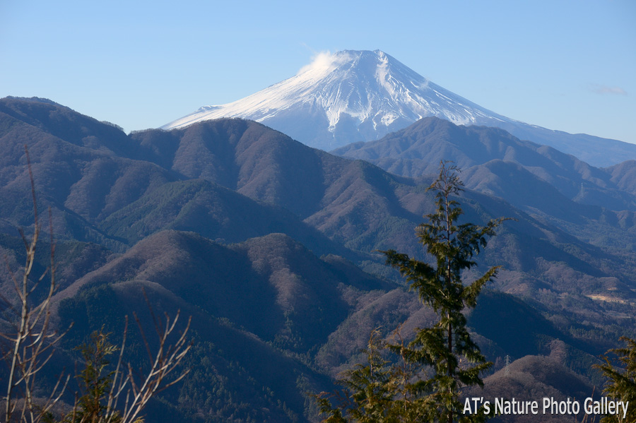 高畑山から／大月市、都留市周辺の山から富士山展望
