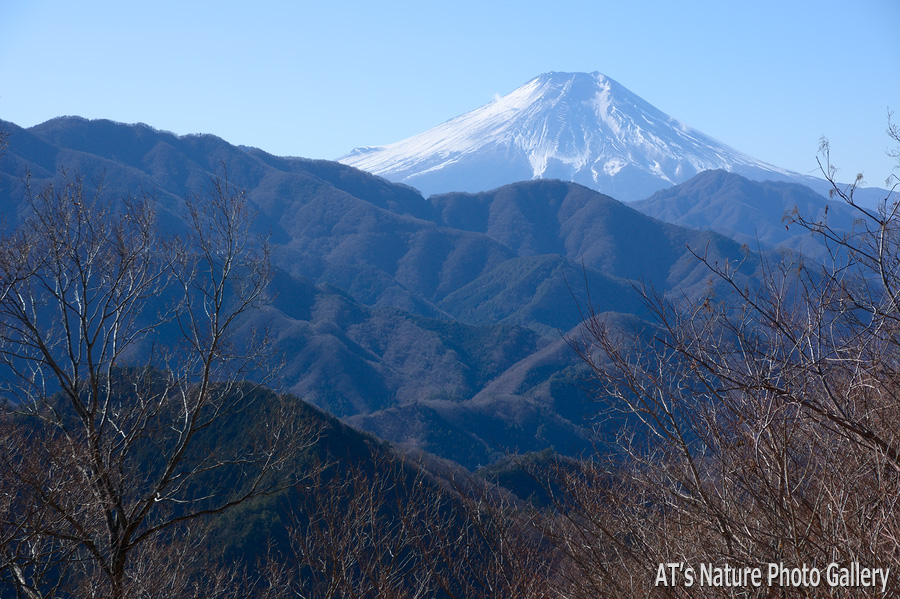 倉岳山から／大月市、都留市周辺の山から富士山展望