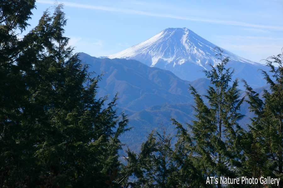 九鬼山富士見平から／大月市、都留市周辺の山から富士山展望