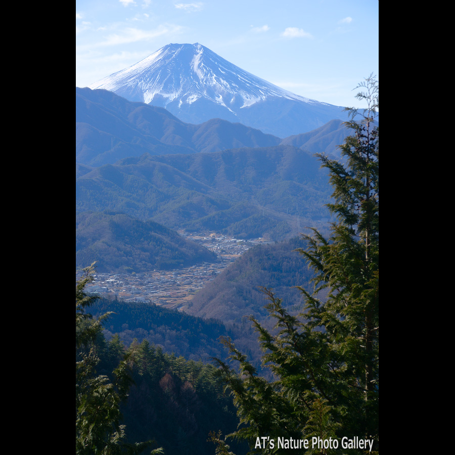 九鬼山天狗岩から／大月市、都留市周辺の山から富士山展望