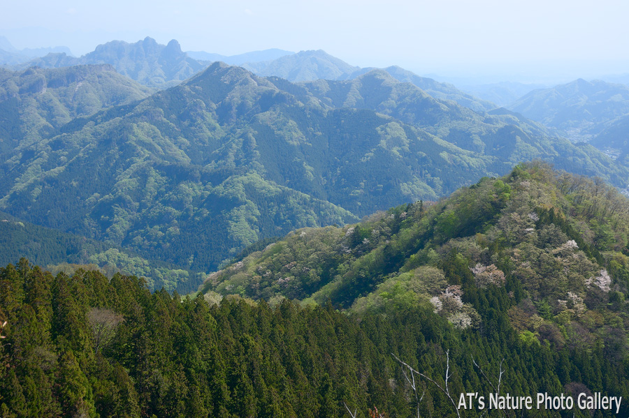 三ッ岩岳から見た鹿岳と富士浅間山／群馬県南牧村